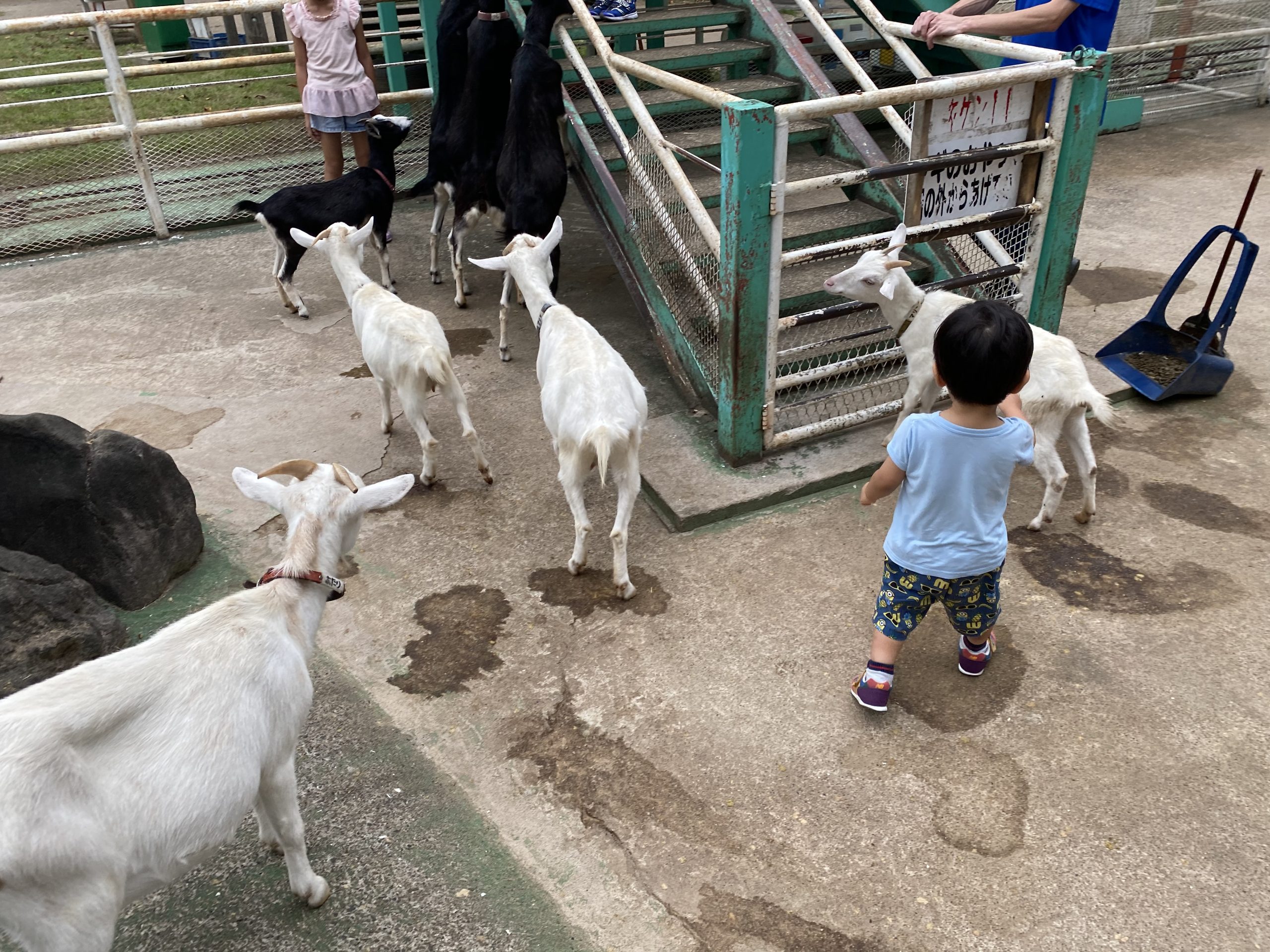 千葉の清水公園に子ども 2歳児 と行ってきた コロナでの利用状況 小林有美子のホームページ